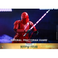 Hot Toys TMS108 1/6 Scale IMPERIAL PRAETORIAN GUARD™